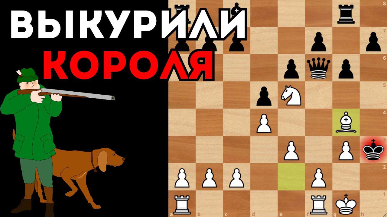 Белые выкурили вражеского короля из берлоги и заматовали. Шахматы смотреть онлайн