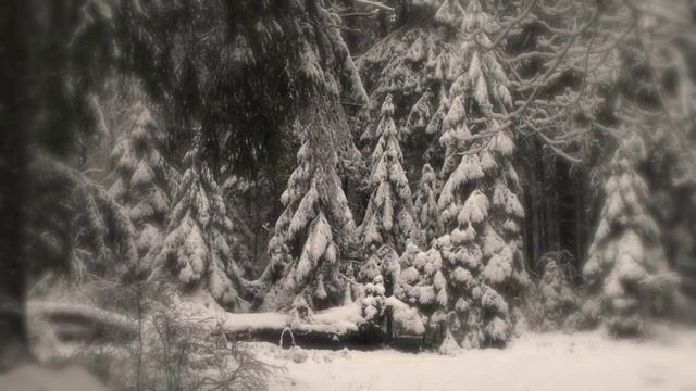Лесное озеро. Первый снег смотреть онлайн
