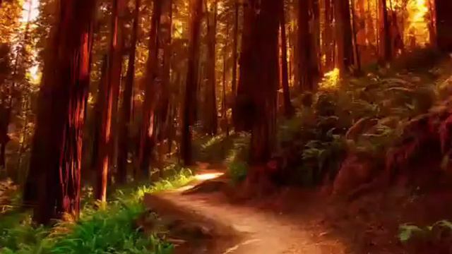 Magic Forest Music: Your Antistress ♡ Волшебная музыка леса: ваш антистресс