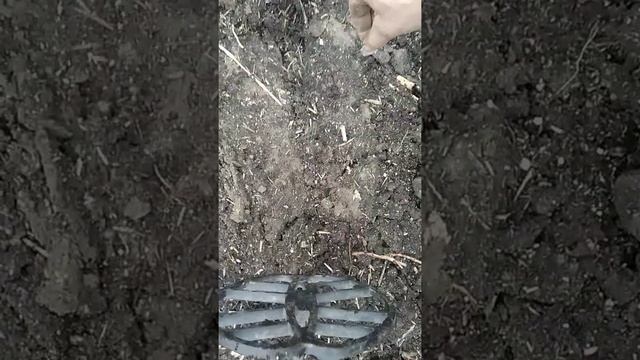 металлоискатель Фортуна м3 "разогнал" смотреть онлайн