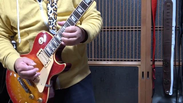 AriaProII LS 800VD 1980 Mods & Kz TrebleBooster+ Ibanez WD7+ TS808+Orenge DarkTerror 002