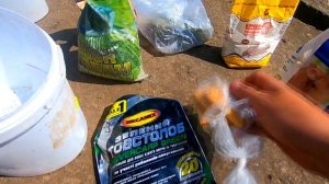 САМОДЕЛЬНЫЙ ТЕХНОПЛАНКТОН!! ЛУЧШИЙ РЕЦЕПТ!! НЕДОРОГО.