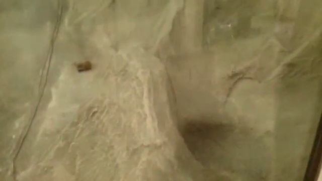 YANTAR MUZEY KALININGRAD