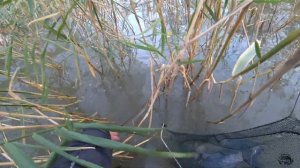 Карп на поплавок с лодки.