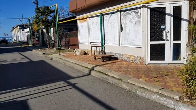 Лазаревское сегодня Сочи МИМОЗА и ул.Ушакова смотреть онлайн