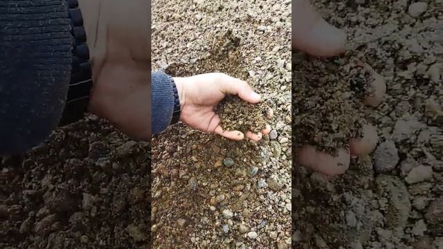 ОПГС 1300 РУБЛЕЙ смотреть онлайн