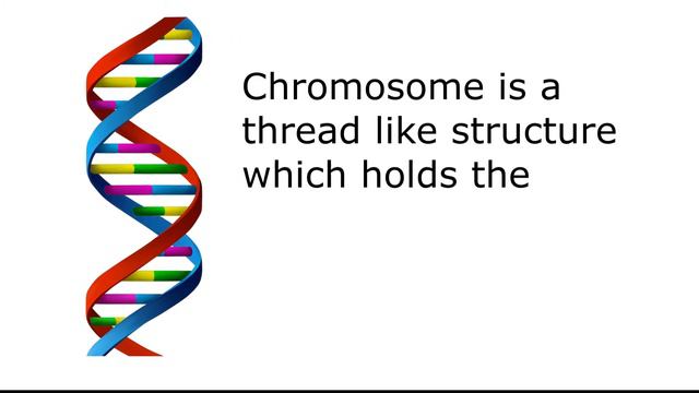 What is Karyotyping Test or Chromosomal Analysis? смотреть онлайн