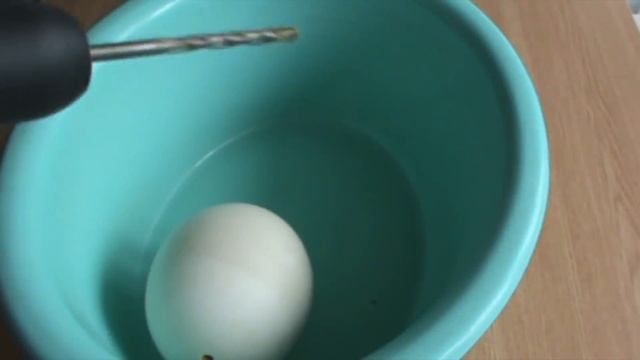 ШОК!!! ВЫЛУПЛЕНИЯ ГОМУНКУЛА ИЗ СТРАУСИНОГО ЯЙЦА 40 ДНЕЙ!!!(Homunculus) смотреть онлайн