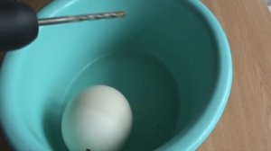 ШОК!!! ВЫЛУПЛЕНИЯ ГОМУНКУЛА ИЗ СТРАУСИНОГО ЯЙЦА 40 ДНЕЙ!!!(Homunculus)