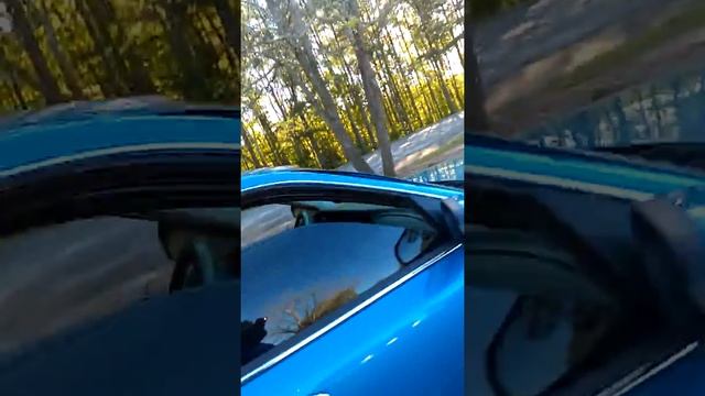 Fso car club 4/9/16 смотреть онлайн