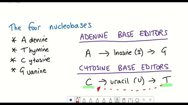 Base editing doubles lifespan...!! (in progeria mouse model) смотреть онлайн