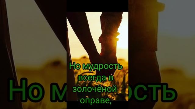 СВОИ НЕ УХОДЯТ, СВОИ НЕ БРОСАЮТ смотреть онлайн