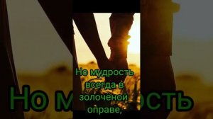 СВОИ НЕ УХОДЯТ, СВОИ НЕ БРОСАЮТ