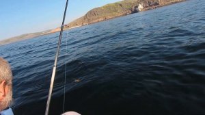 Ловим в Баренцевом море краба ,треску и береговую охрану :)))