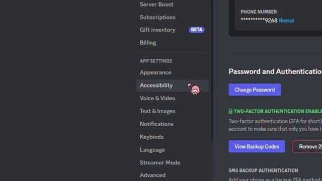 Bot Slash Command Not Showing on Your Discord PC ?? смотреть онлайн