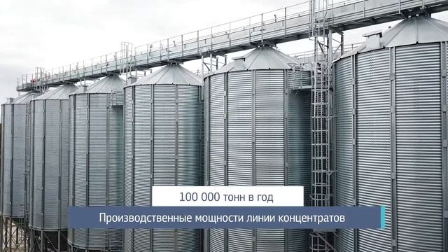 О компании "Мустанг Технологии Кормления" смотреть онлайн