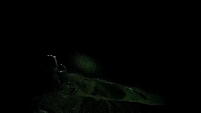 С Вованом на рыбалку, закрыли осеньий сезон. смотреть онлайн