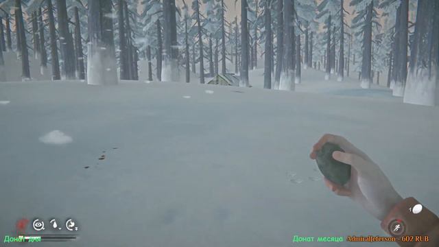 ДЕВУШКА В THE LONG DARK,ПРОХОЖДЕНИЕ(СЮЖЕТКА),ГЛАВА 3 #13 смотреть онлайн