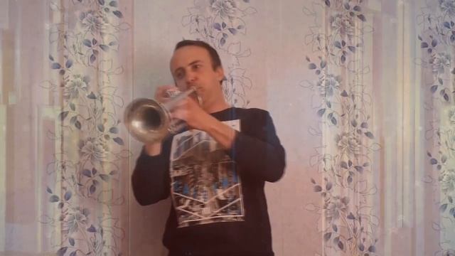 Мелодия из к/ф Долгая дорога в дюнах - Р. Паулс (соло на трубе) смотреть онлайн