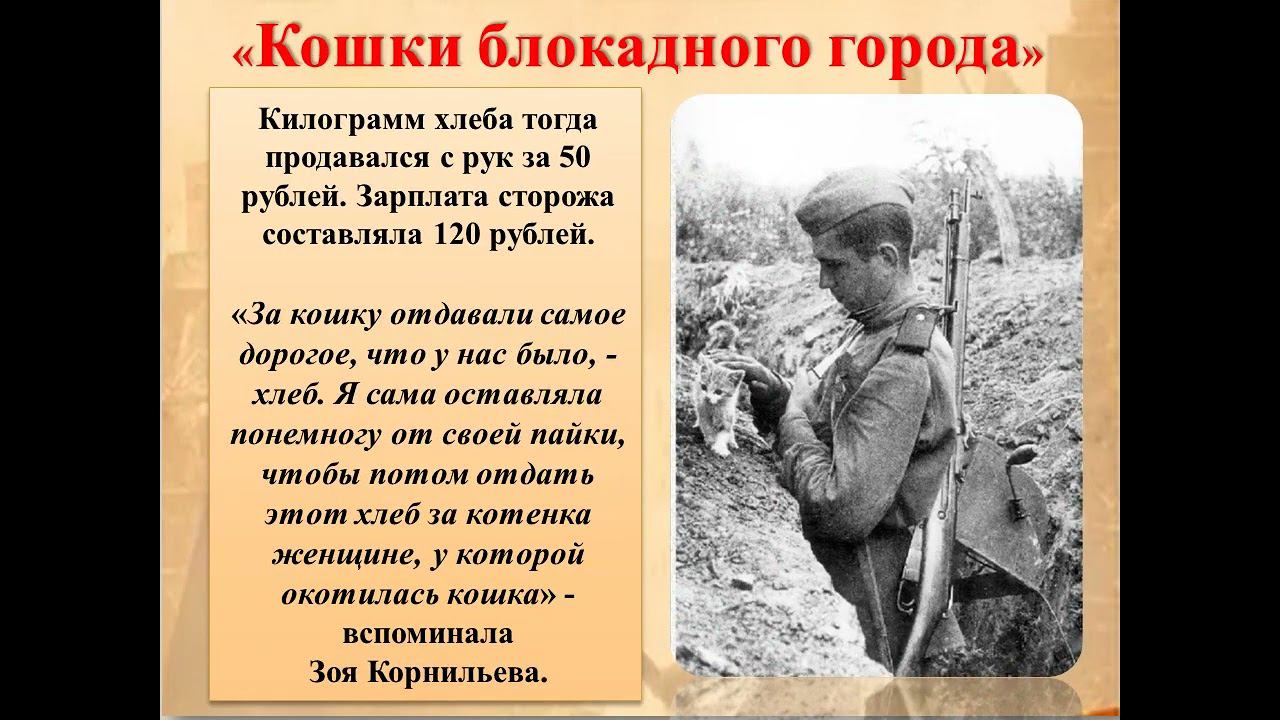 Кошки блокадного города смотреть онлайн