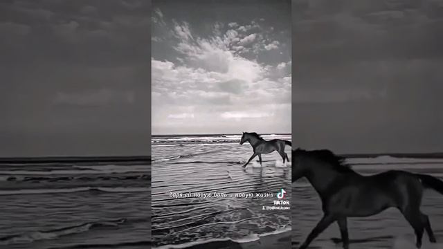 «А время — оно не лечит. Оно не заштопывает раны"Эрих Мария Ремарк смотреть онлайн