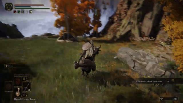 Episode 24: "Back Onto Dry Land", The Quest To Git Gud In Elden Ring смотреть онлайн