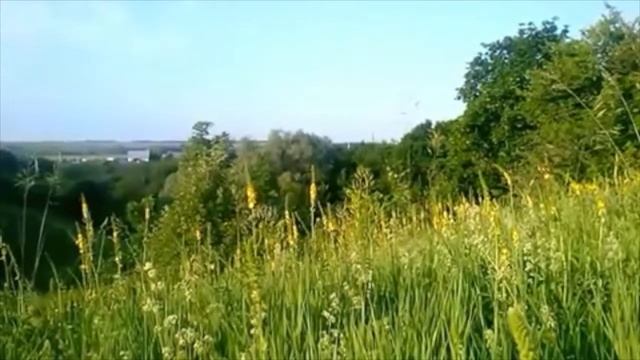 ПЕРЕХОД В ВЫСОКИЕ ВИБРАЦИИ/ ИСЦЕЛИТЬ ЖЕЛУДОК/ ПРОКАЧКА 3 ЧАКРЫ смотреть онлайн