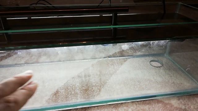 Уф лампа для аквариума (узв) навесного типа смотреть онлайн