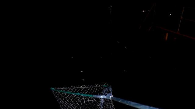 Ветер и Клев КАРАСЯ.