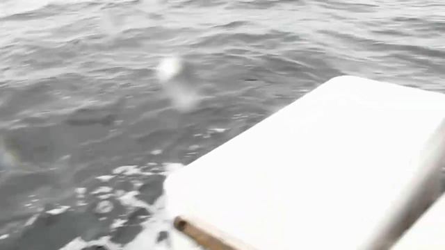 Рыбалка на Лосось Канада 11 кг юра рыбалка канада смотреть онлайн