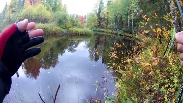 Спиннинг от Narval ,, Argument '' 82MMH. Обзор и тестирование моё личное мнение.