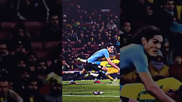 33c812dbcf3759a18de00a368dcae495