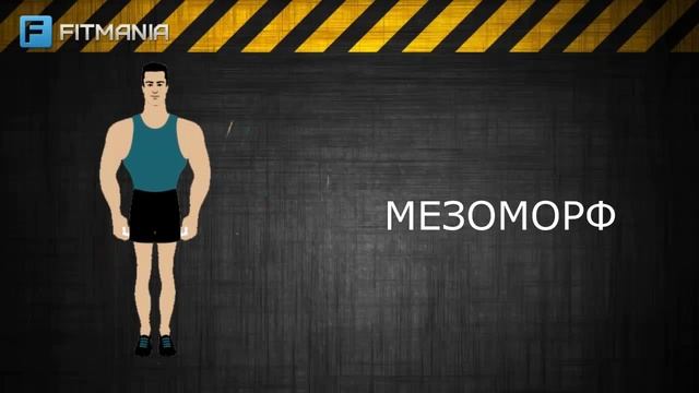 Типы телосложения человека смотреть онлайн