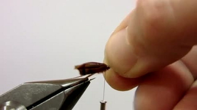 Нахлыст. Вязание мушки Pheasant & Green