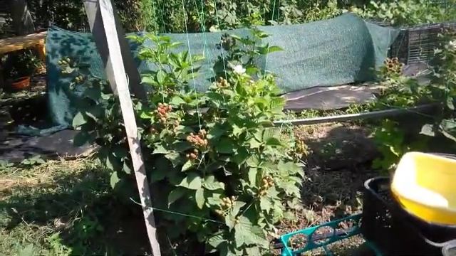 Тележка из старой детской коляски смотреть онлайн