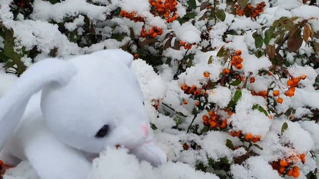 Игрушки- потеряшки в парке. Истории для детей / Бетти Беттика и её жизнь в Германии смотреть онлайн