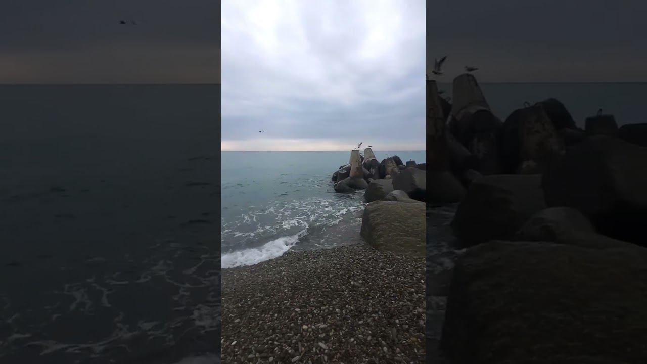 10.03.23 г. Погода Лазаревское #shorts #погодалазаревское #погодасочи #отдыхвсочи #погодасегодня смотреть онлайн