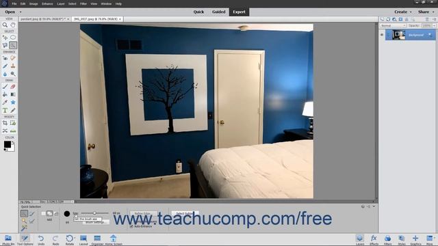 Photoshop Elements 2020 Tutorial The Quick Selection Tool Adobe Training смотреть онлайн