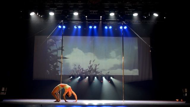 18 Чернецкая Антонина Владимировна POLE ARTISTIC Взрослые женская категория аматоры с 18 лет смотреть онлайн