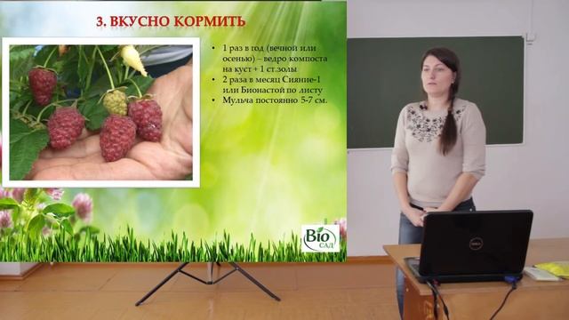 Любимые ягоды на садовом участке - малина смотреть онлайн