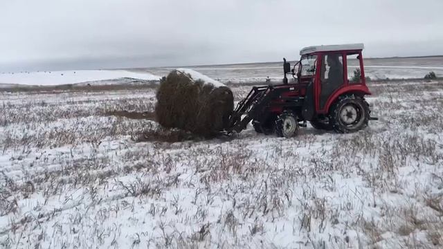 Уборка сена. смотреть онлайн