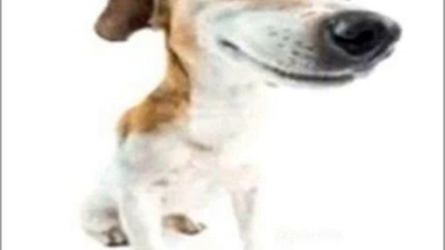 Дайте Танк-Мы (1час) смотреть онлайн