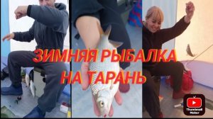 Зимняя рыбалка на заливе Цимлянского водохранилища. январь 2024 года