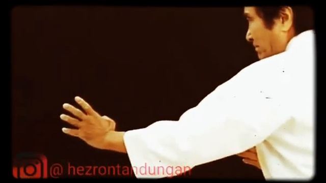 Nekoashi Gohon Kumite || 猫足五本組手 смотреть онлайн