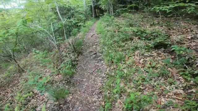 Appalachian Trail Thru Hike 2020 - Day 14
