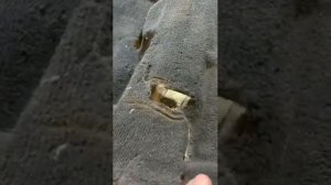 Восстановление ковролина Авто