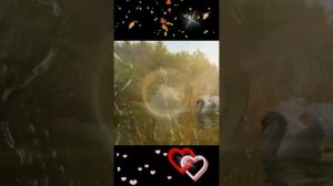 Сагит Гыйбашев «Яна йөрәгем»