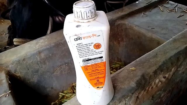 Renacal-p/ রেনাক্যাল-পি ক্যালসিয়ামের অভাব পূরন করে/veterinary medicine and tips1 смотреть онлайн