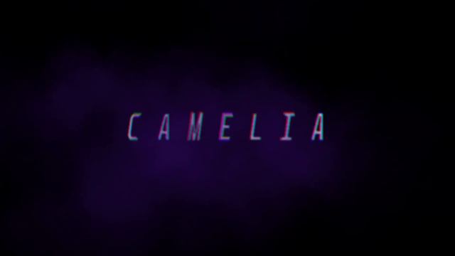 CAMELIA Type Beat Drill смотреть онлайн