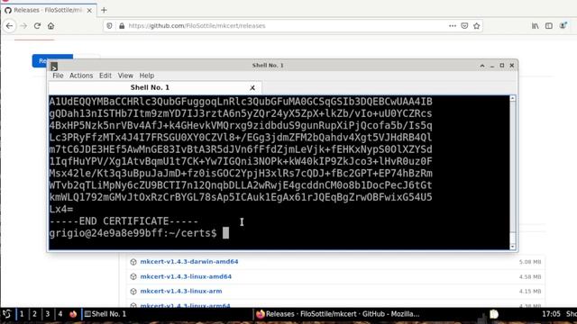 HOW TO CREATE AN HTTPS certificate self-signed with mkcert for your LAN instead Letsencrypt TUTORIA смотреть онлайн
